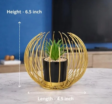 Plant decor